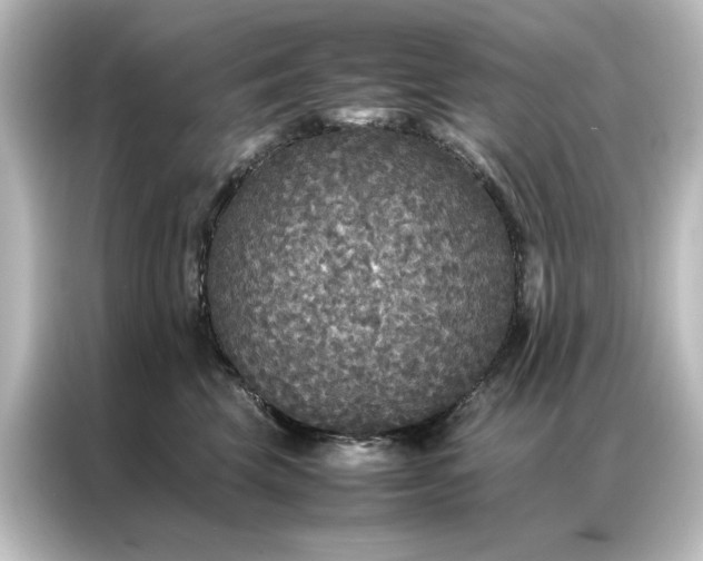 X0000087060569200705021219