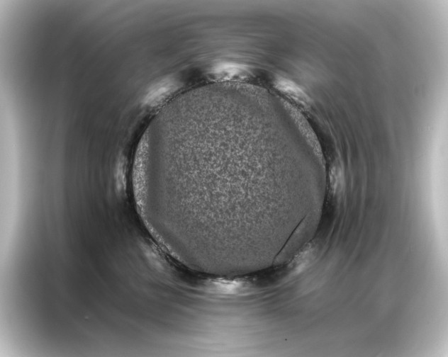 X0000087060570200705021219