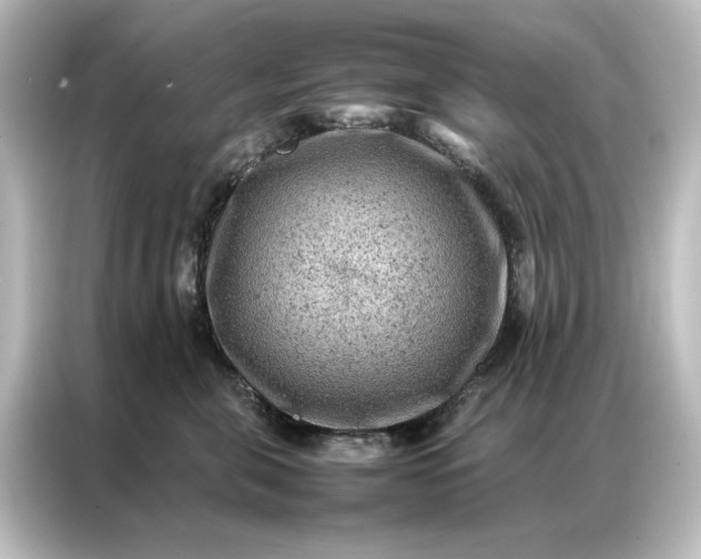 X0000087060571200705021219