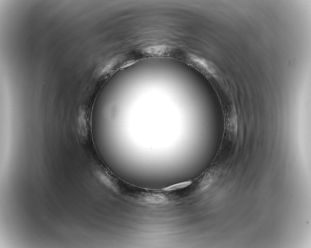 X0000087060572200705021219