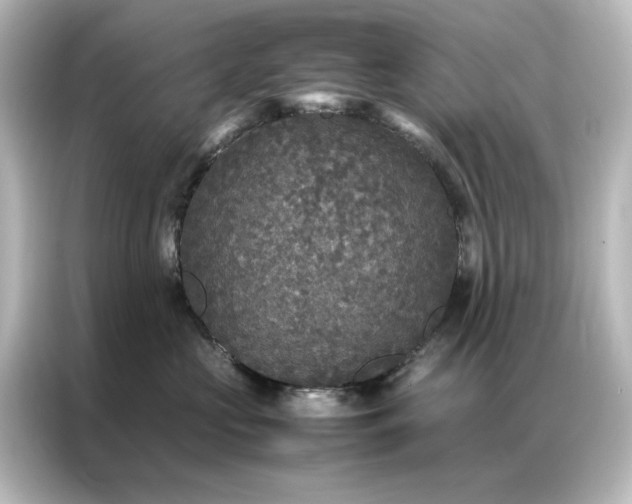 X0000087060573200705021219