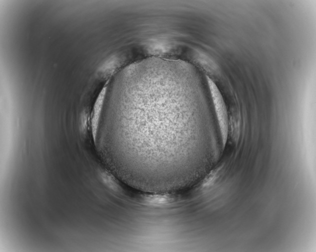 X0000087060574200705021219