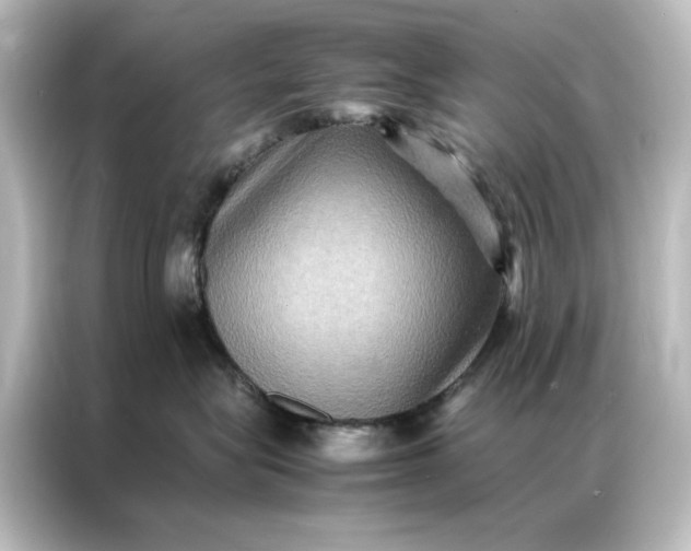 X0000087060575200705021219