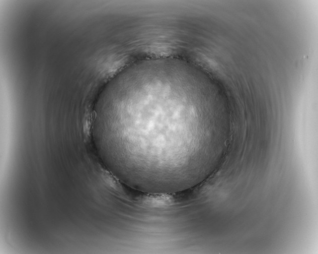 X0000087060576200705021219