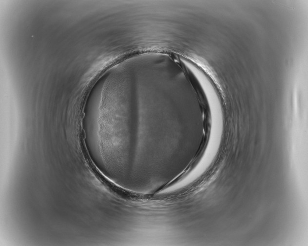 X0000087060577200705021218