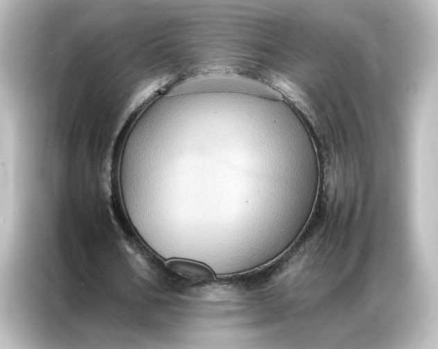 X0000087060578200705021218