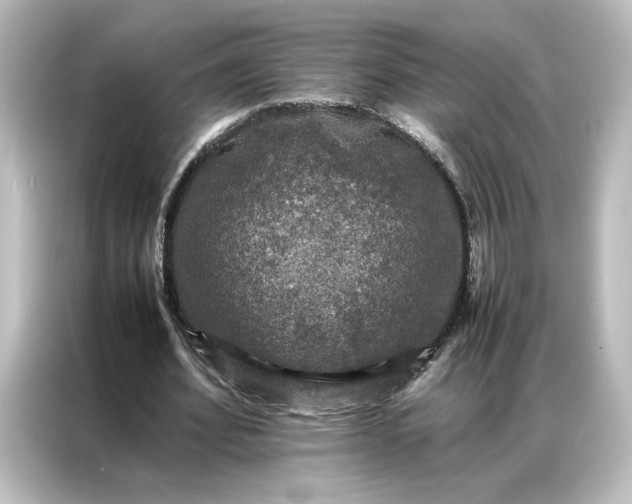 X0000087060580200705021218