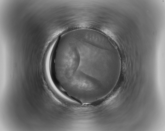 X0000087060581200705021218