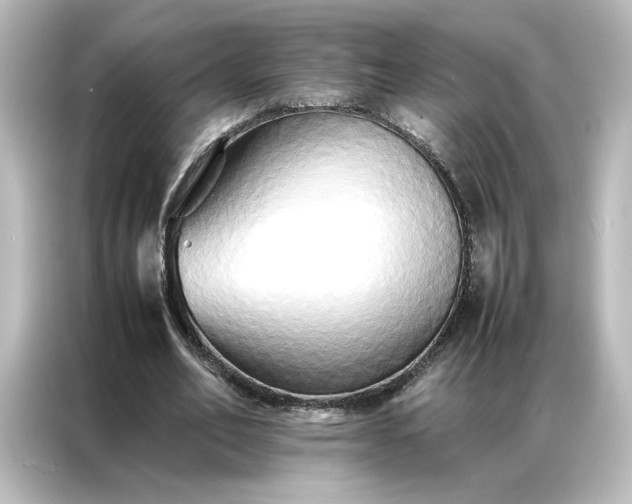 X0000087060582200705021218