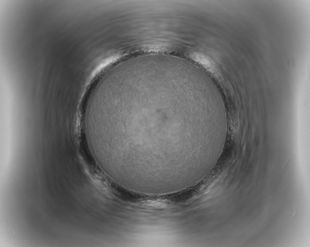 X0000087060583200705021218