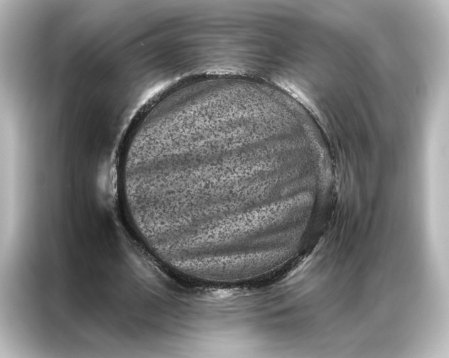 X0000087060584200705021218