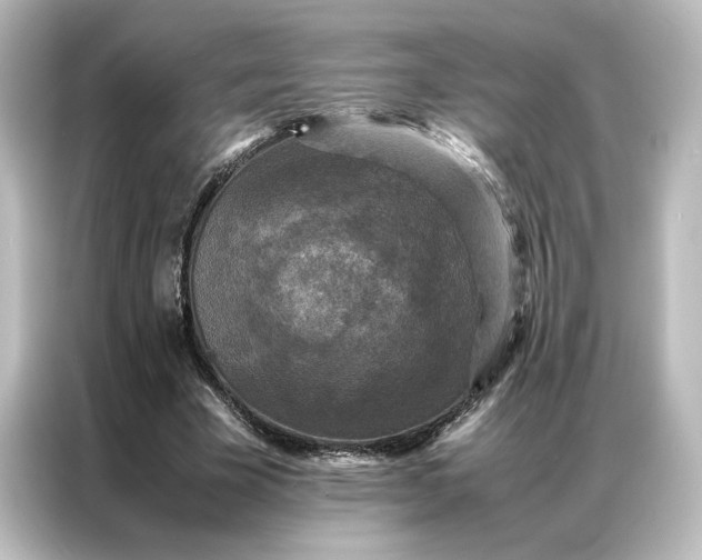 X0000087060585200705021218