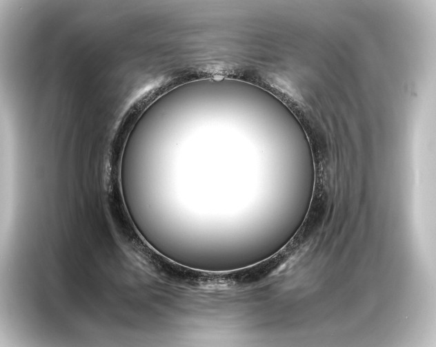 X0000087060587200705021218