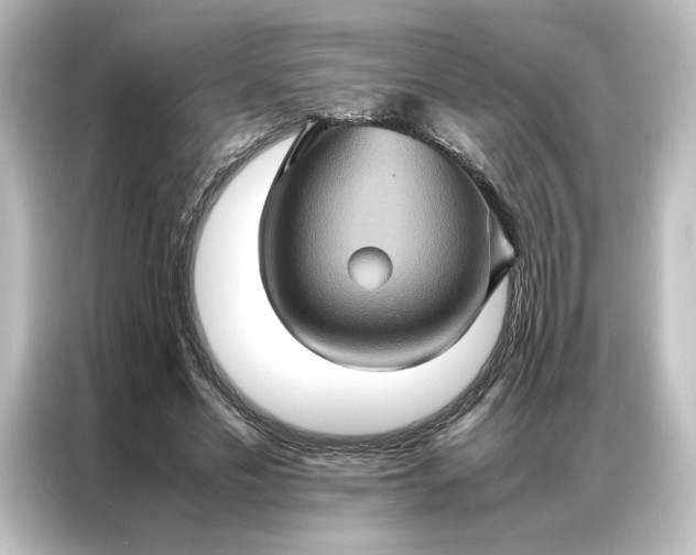 X0000087060589200705021218