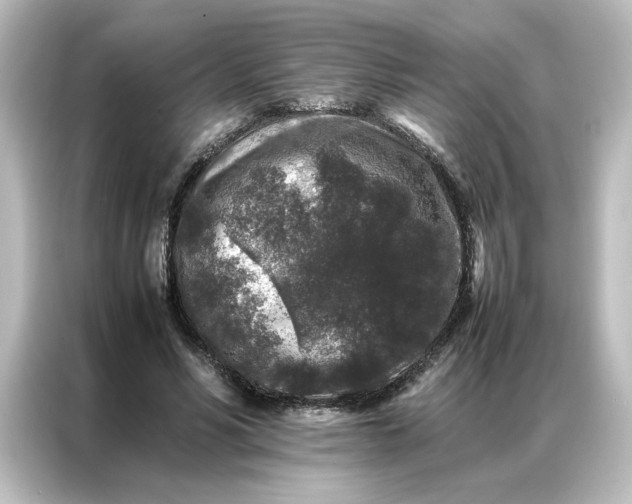 X0000087060590200705021218