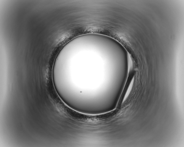 X0000087060591200705021218