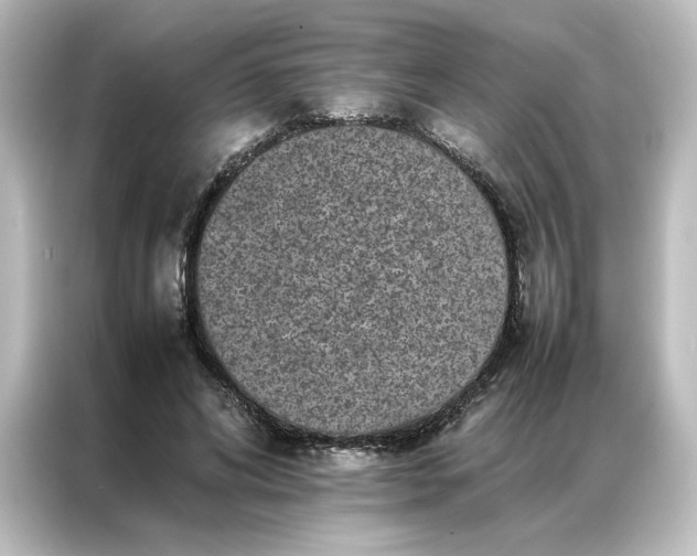 X0000087060592200705021218