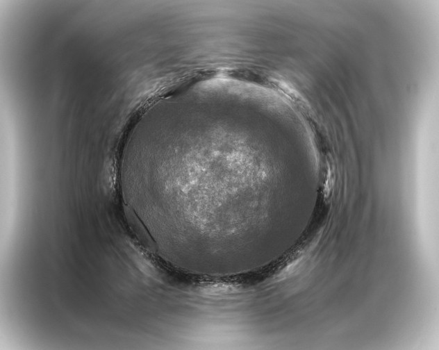 X0000087060593200705021218