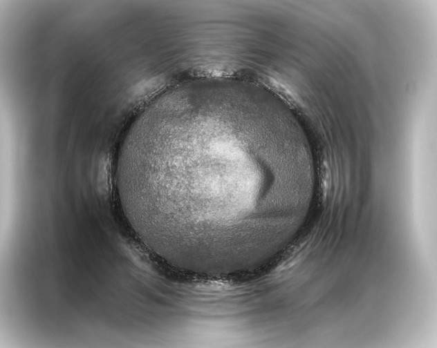 X0000087060594200705021218