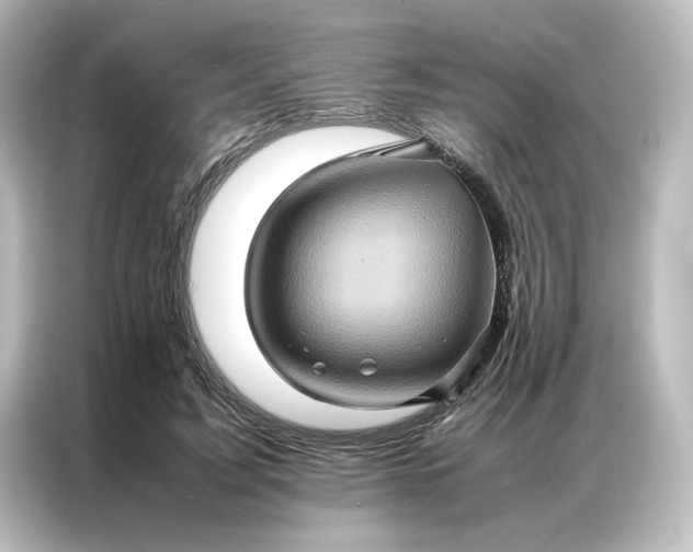 X0000087060595200705021218