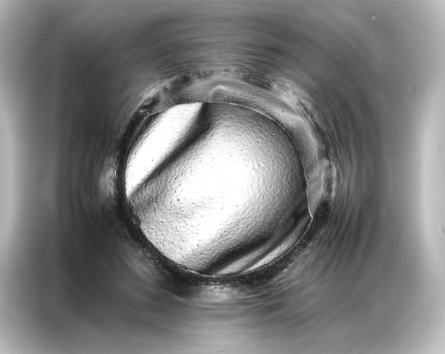 X0000087060596200705021218