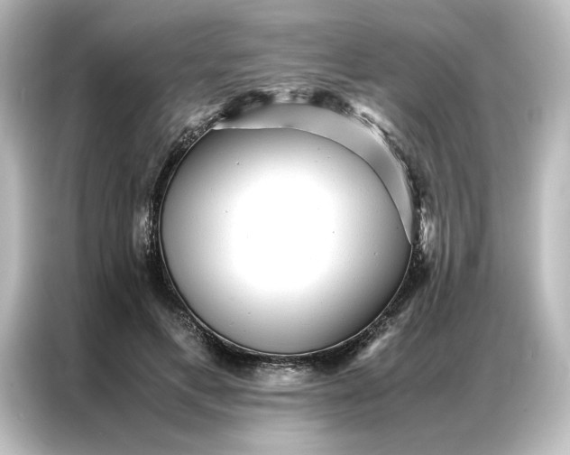 X0000087060597200705021218