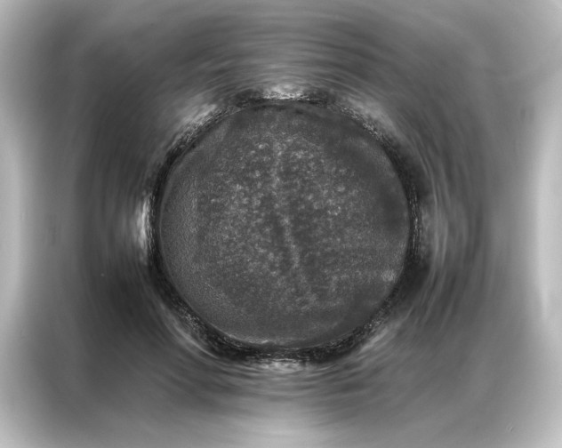 X0000087060598200705021218