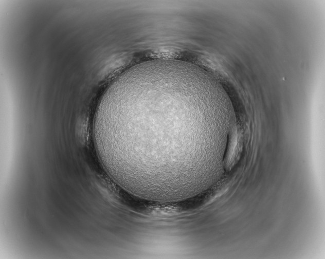 X0000087060599200705021218