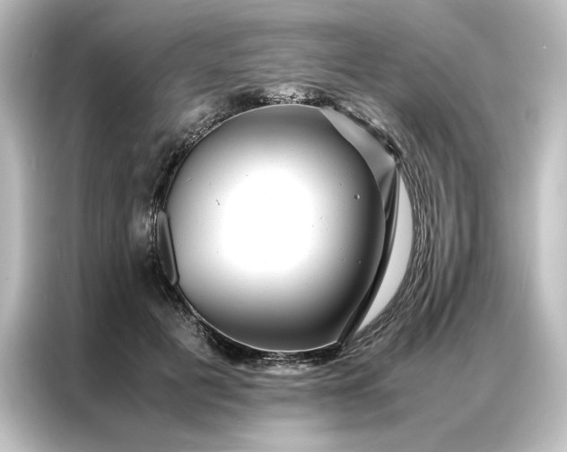 X0000087060601200705021218