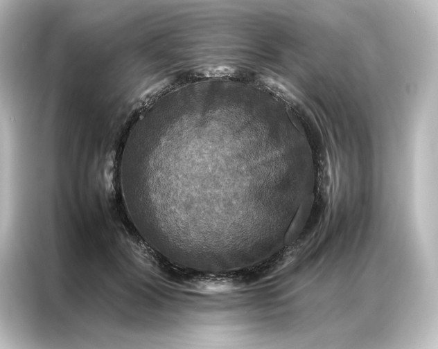 X0000087060604200705021218