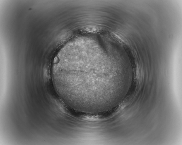 X0000087060606200705021218