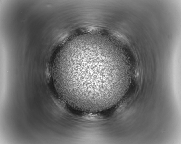 X0000087060607200705021218