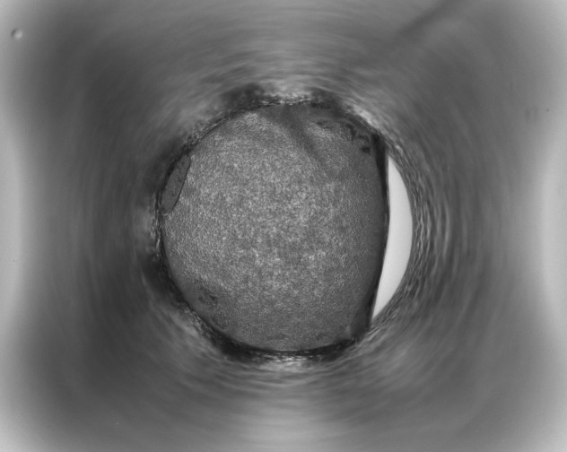 X0000087060609200705021218