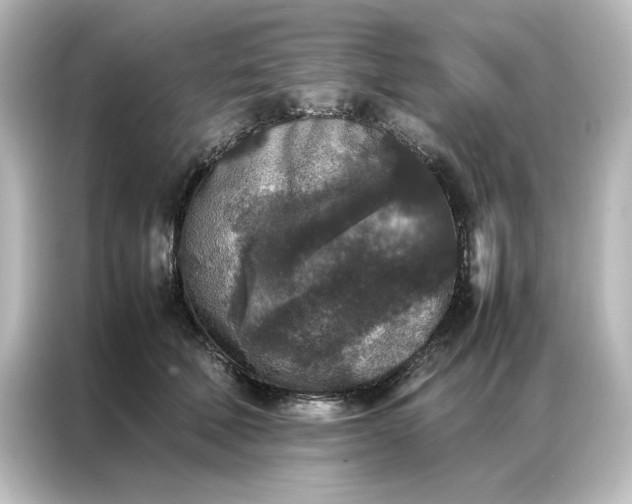 X0000087060610200705021218