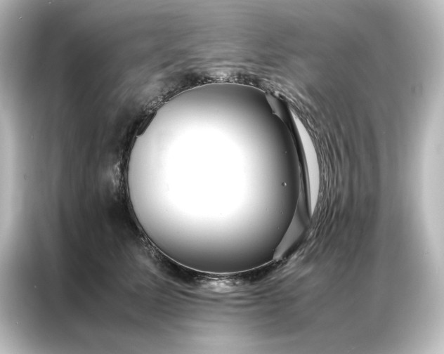 X0000087060611200705021218