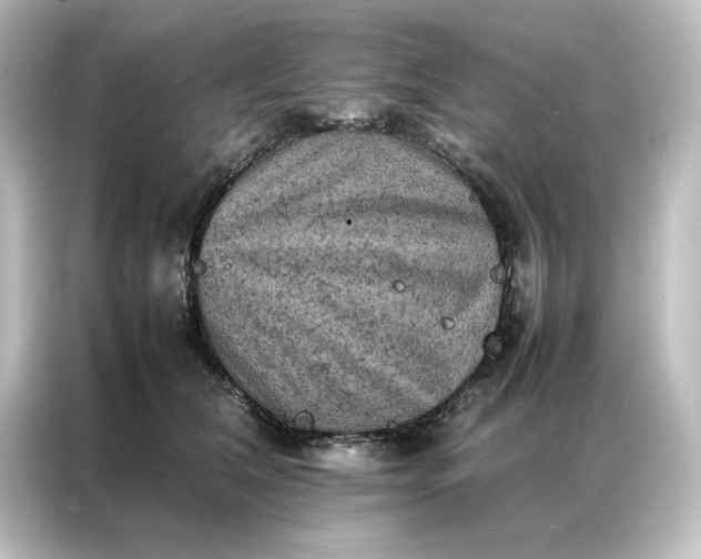 X0000087060612200705021218