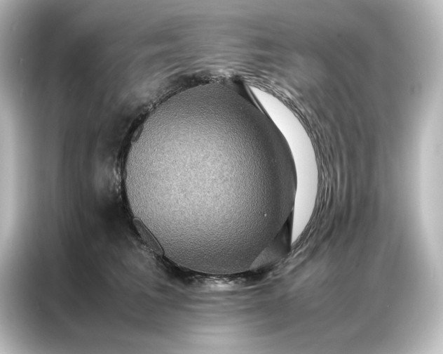 X0000087060613200705021218