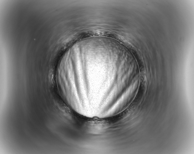 X0000087060615200705021218