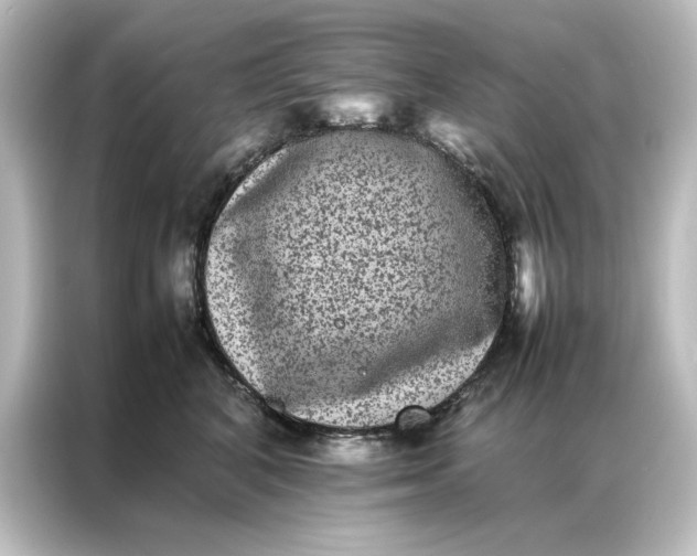 X0000087060616200705021218