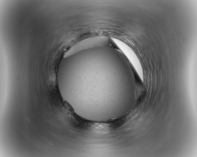 X0000087060617200705021218