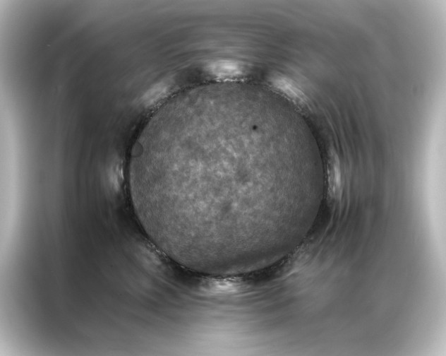 X0000087060618200705021218