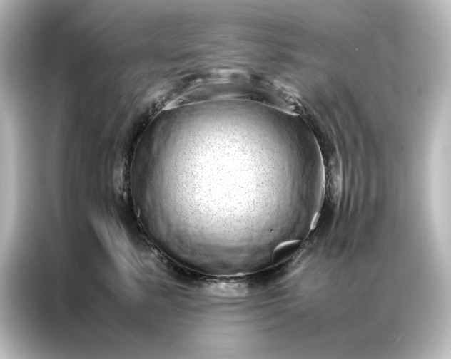 X0000087060619200705021218