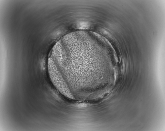 X0000087060620200705021218