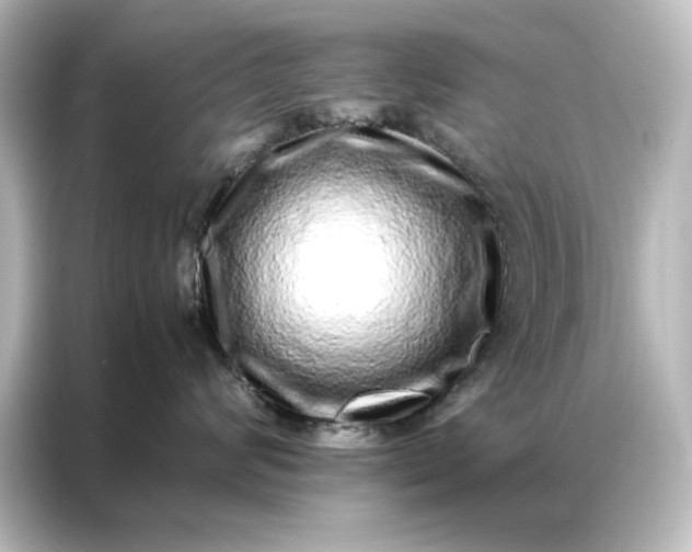 X0000087060624200705021218