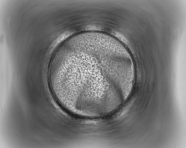 X0000087060625200705021217