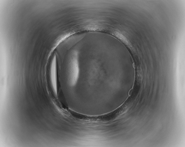 X0000087060626200705021217