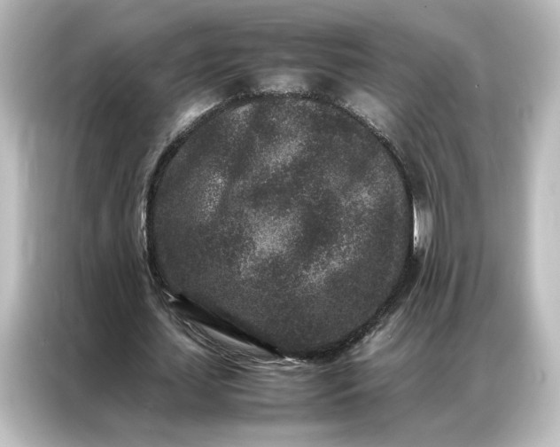 X0000087060627200705021217