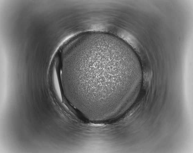 X0000087060628200705021217