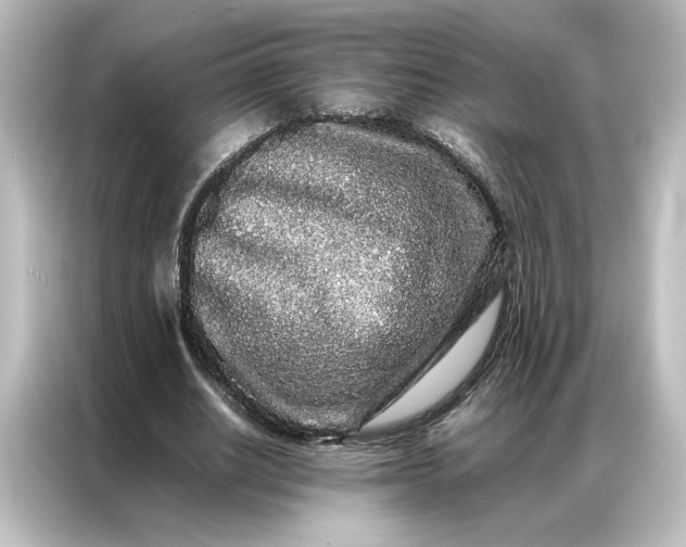 X0000087060630200705021217