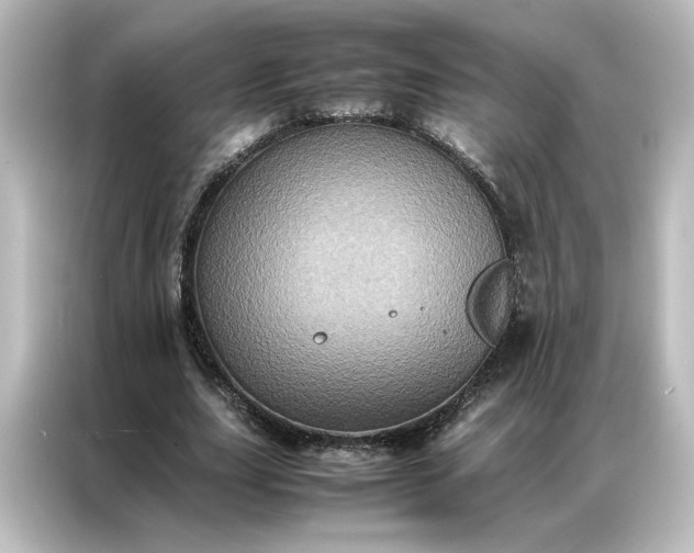 X0000087060631200705021217